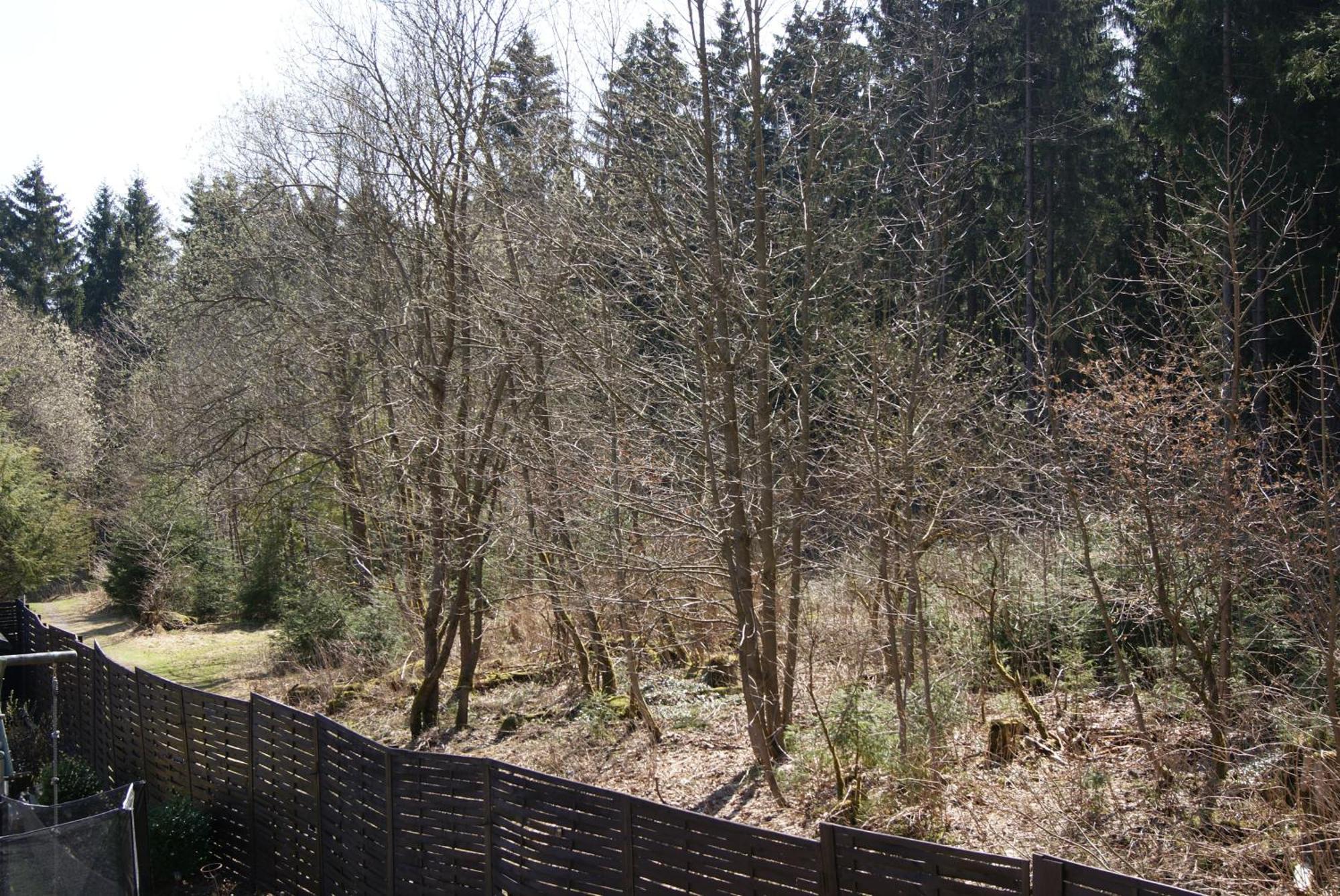 Ferienwohnung Schmidt Braunlage Chambre photo